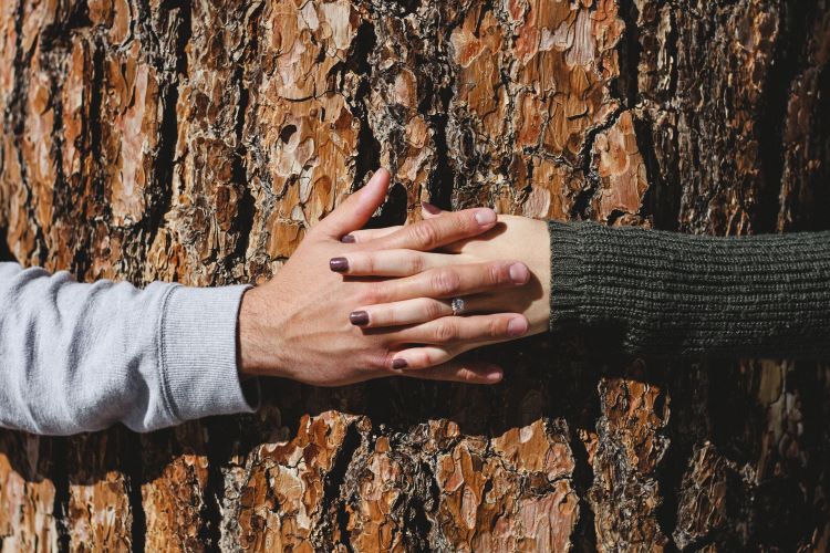 Couple holding hands tree hugging carbon footprint of wedding catering