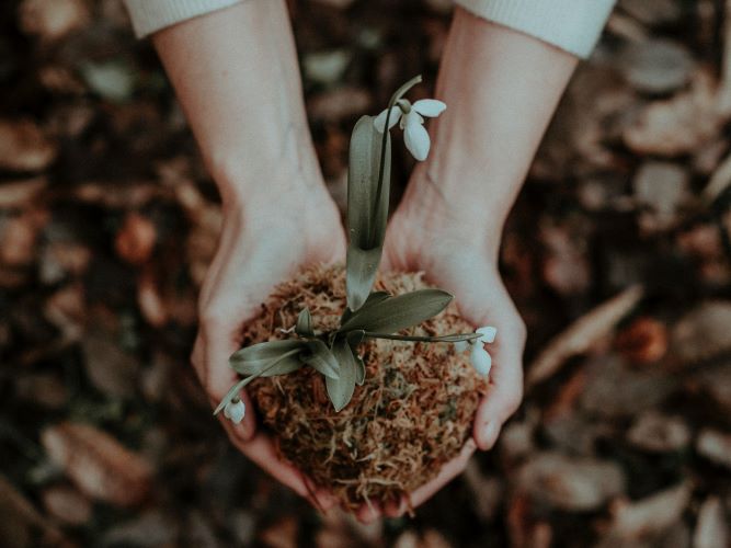 Fresh, locally sourced ingredients