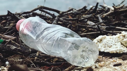 Plastic-free packaging solutions